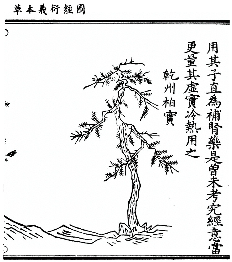 第 1809 页