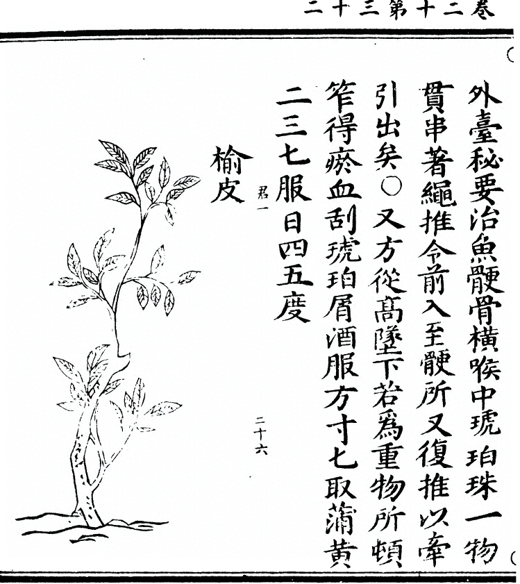 第 1832 页