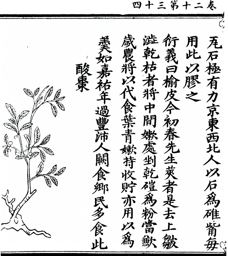 第 1836 页