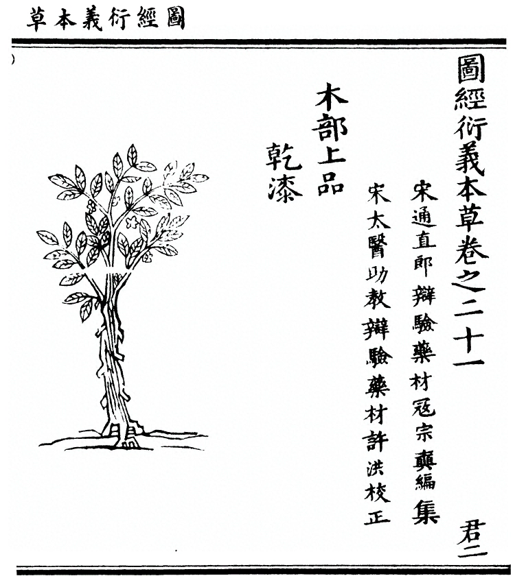 第 1855 页