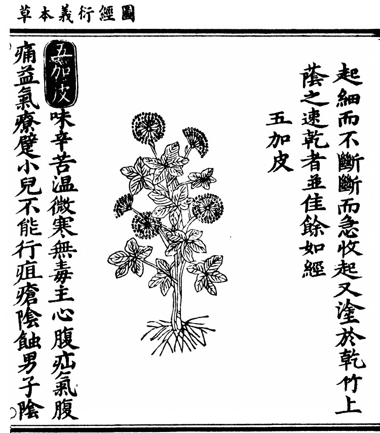 第 1861 页
