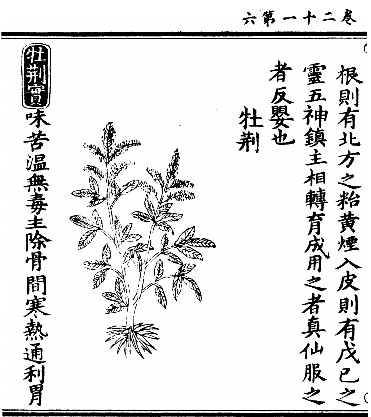 p. 1866