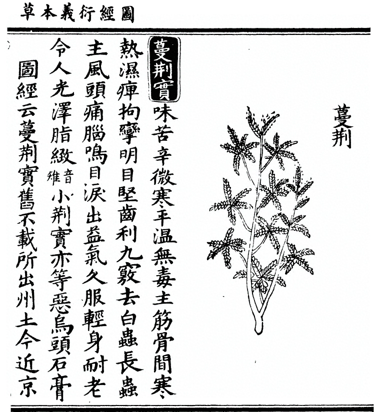第 1869 页