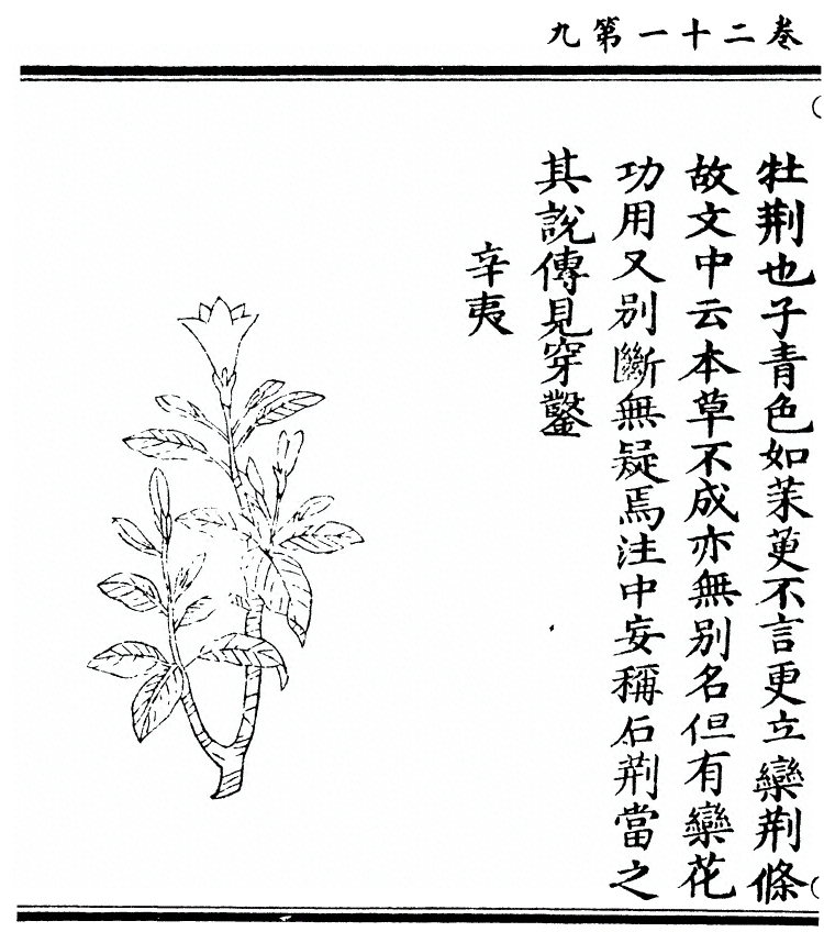 第 1872 页