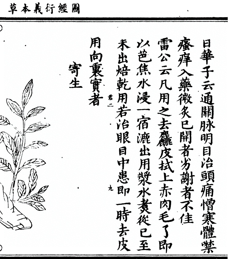 第 1875 页