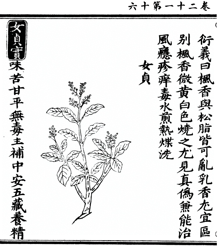 第 1886 页
