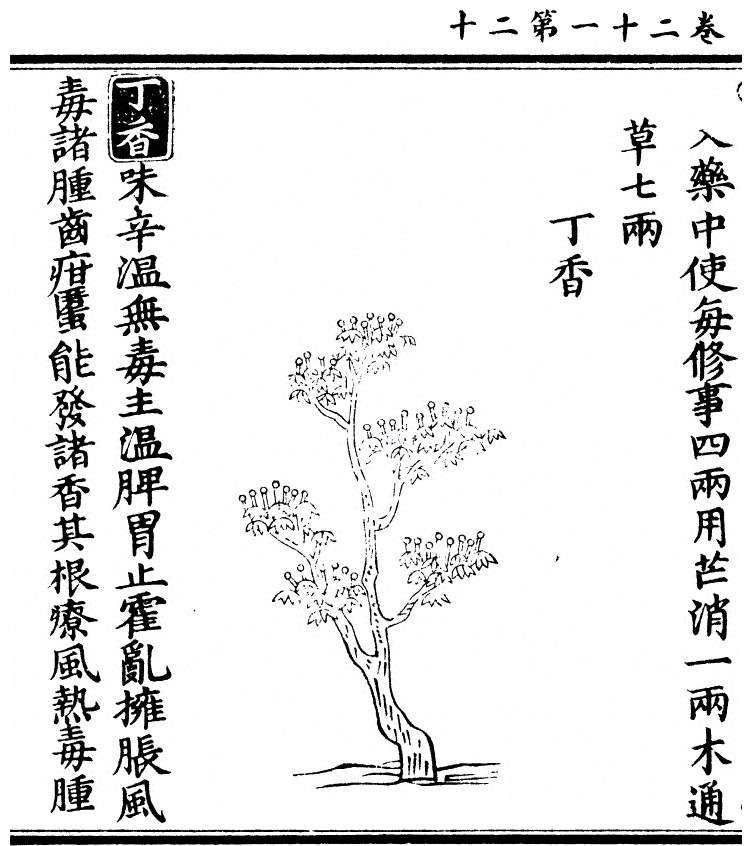 第 1894 页