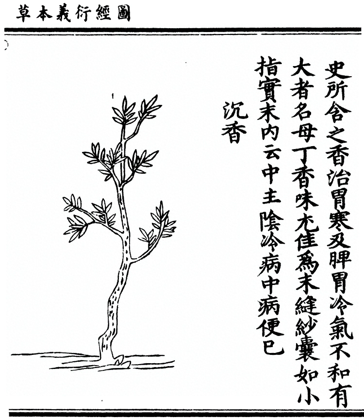 p. 1897