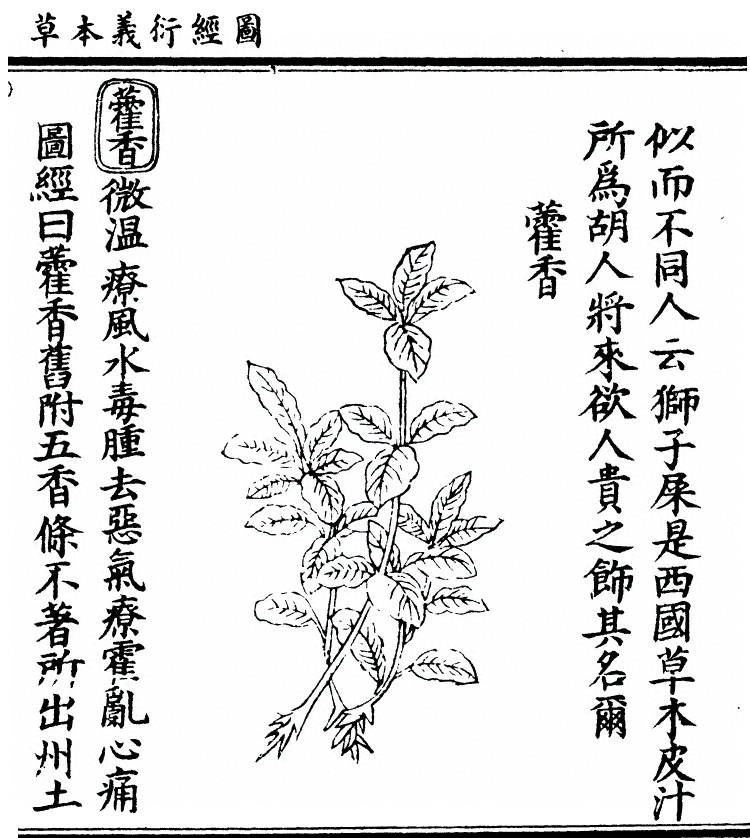 第 1913 页