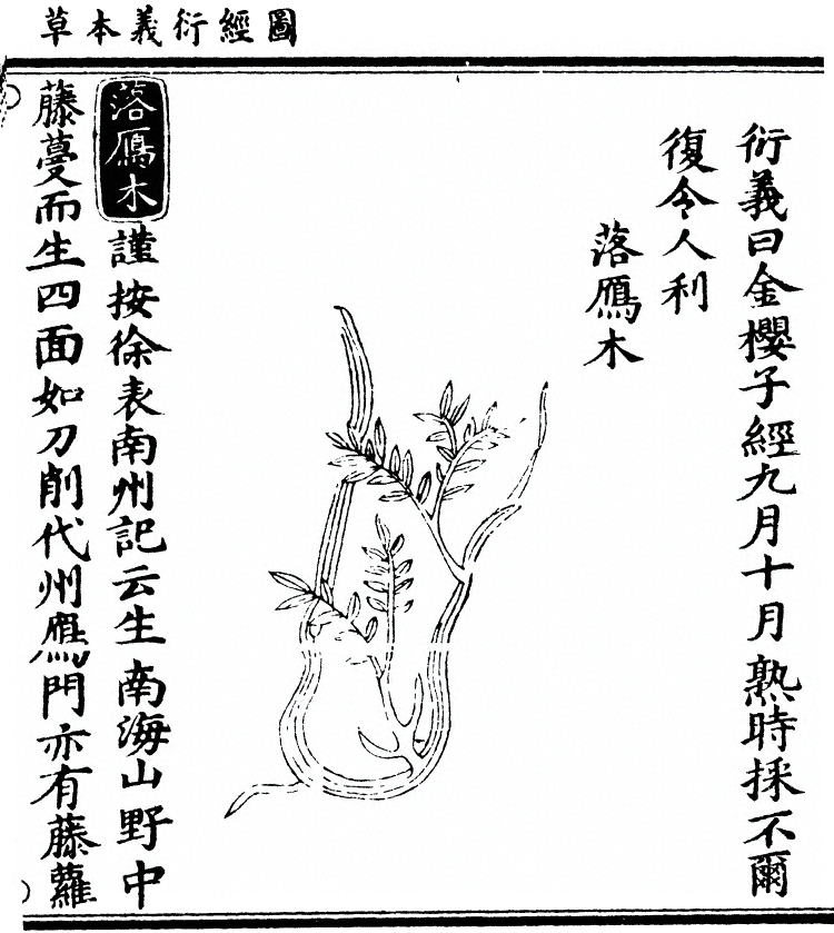 第 1919 页