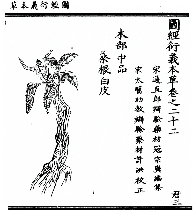 第 1924 页