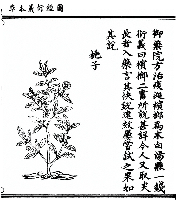 第 1960 页