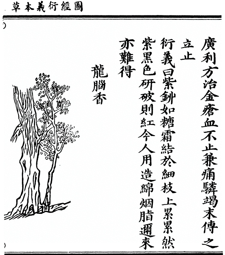 第 1970 页