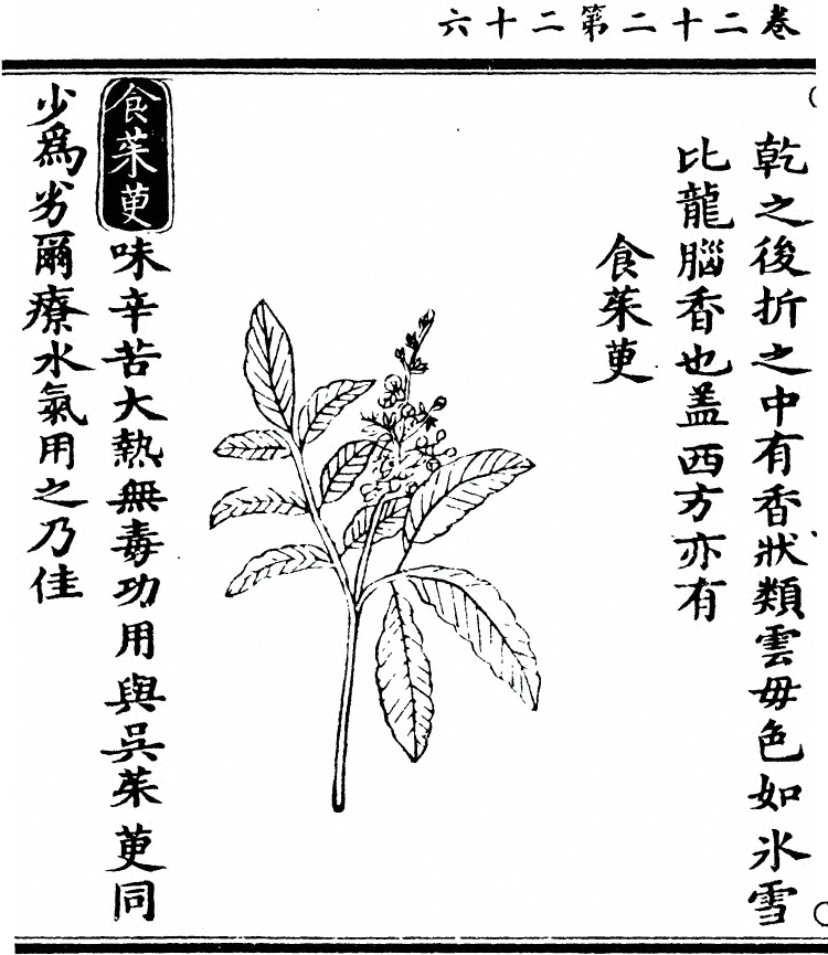 第 1975 页