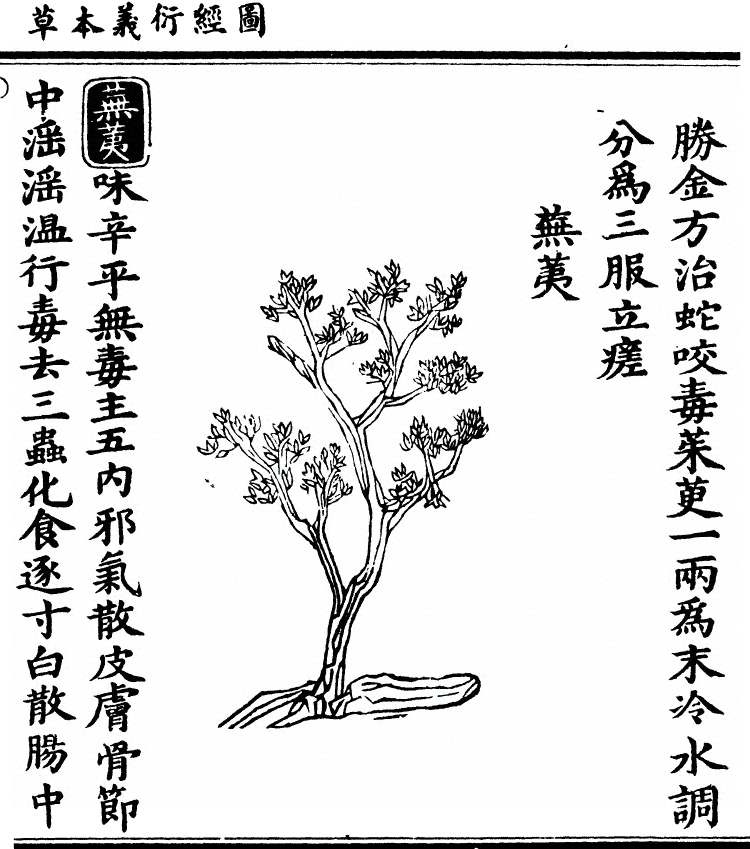 第 1978 页