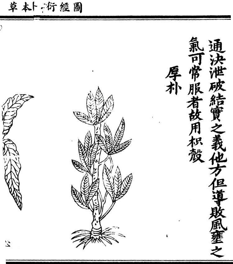 p. 1994