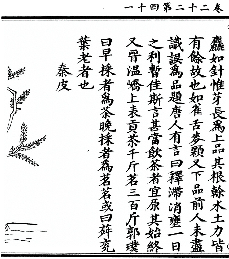 第 2005 页