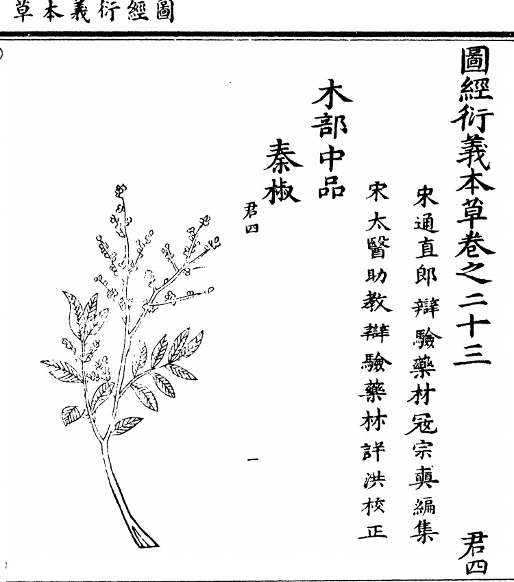 第 2010 页