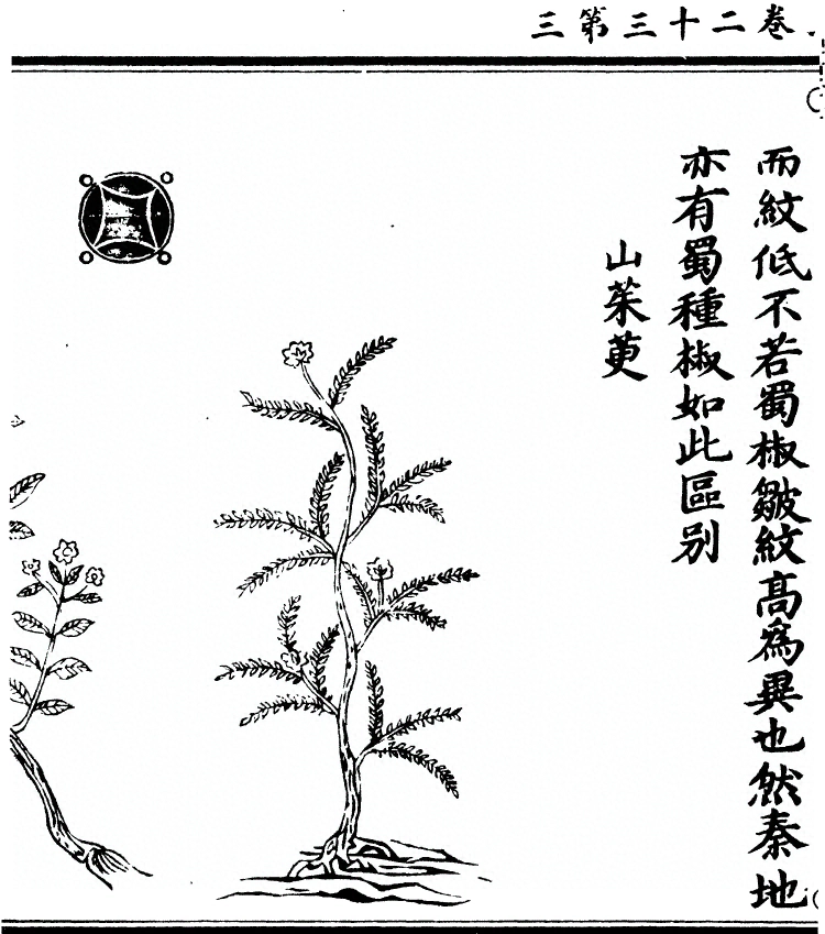 p. 2015
