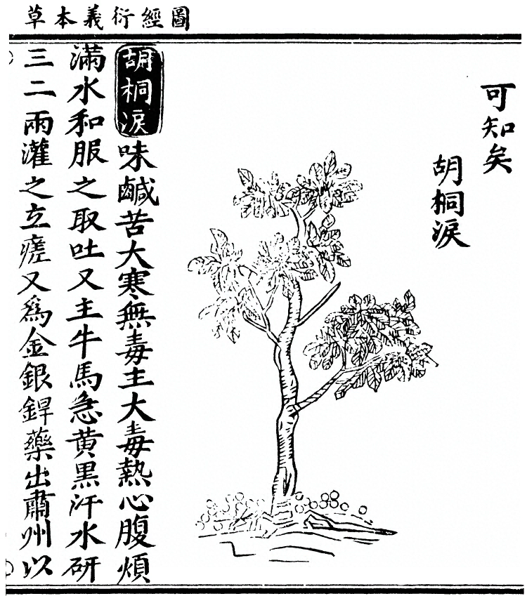 第 2024 页