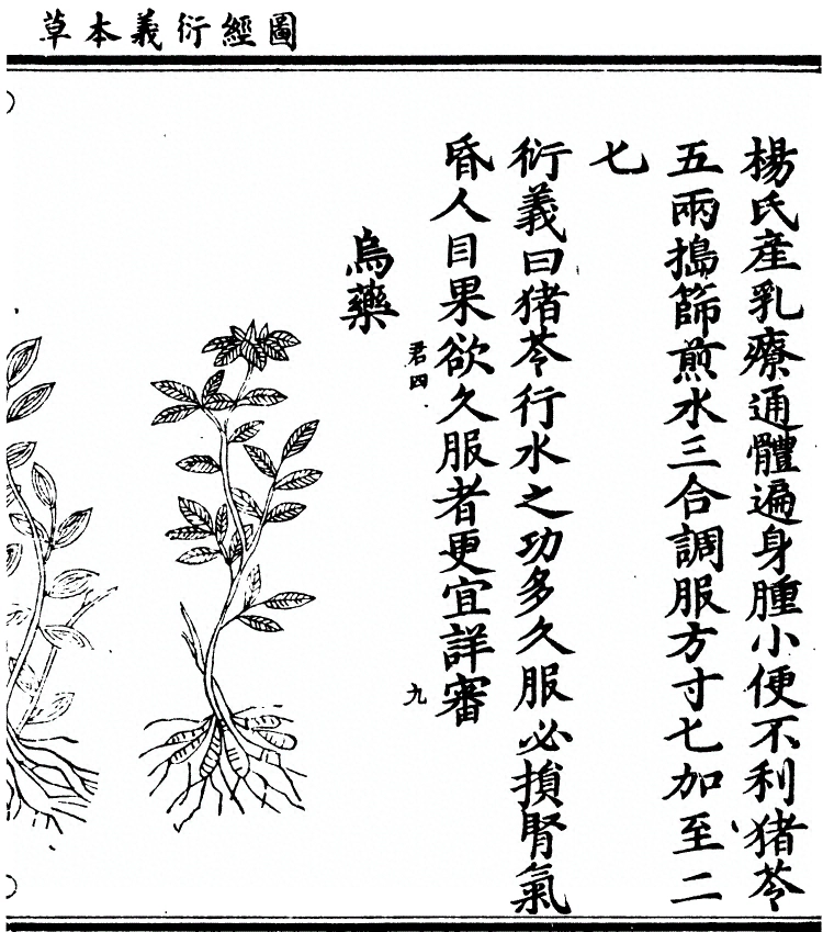 p. 2030