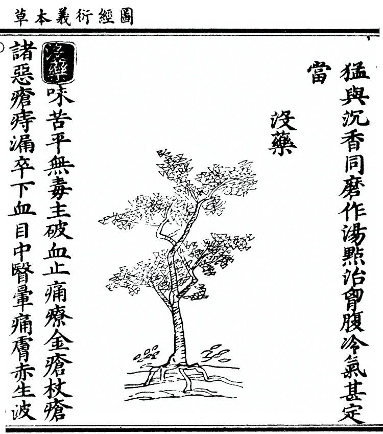 第 2034 页