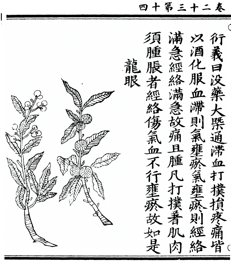 第 2037 页