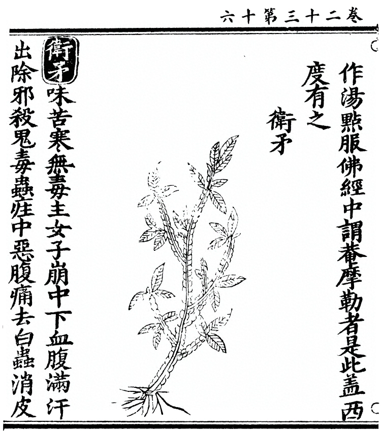 第 2041 页