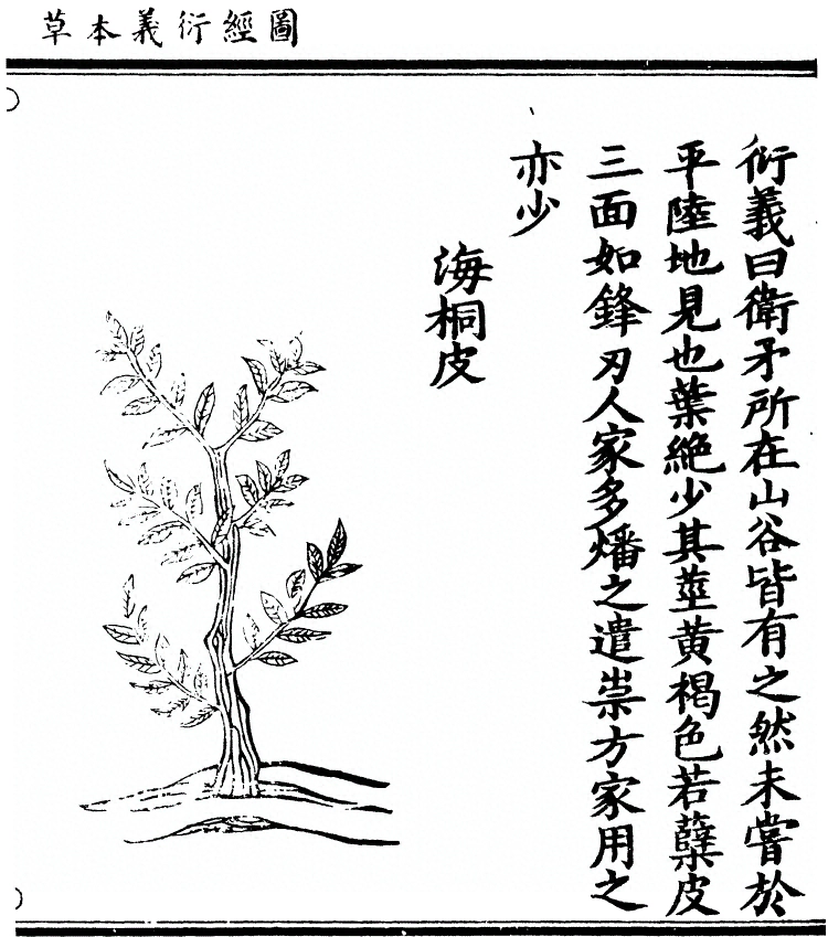 p. 2044