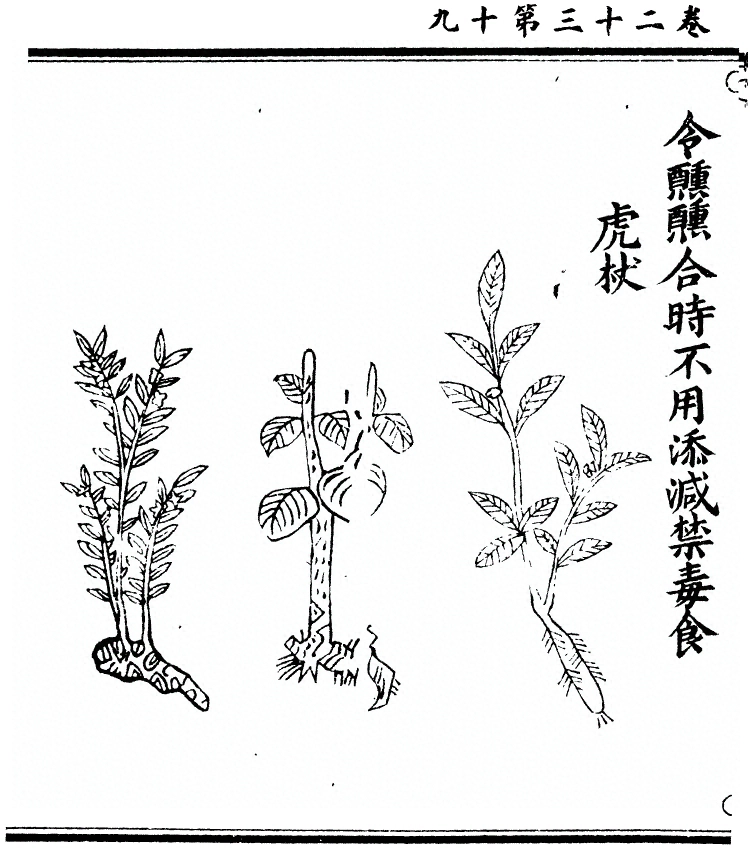 第 2047 页