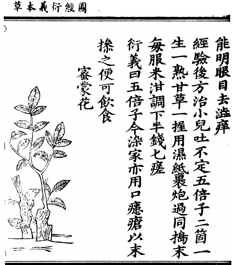 第 2054 页