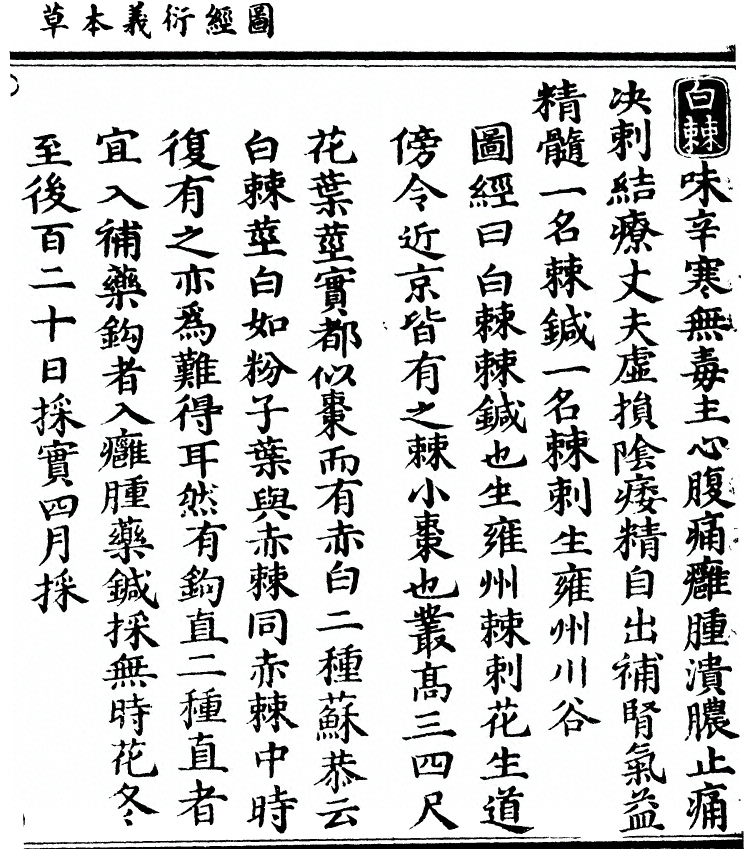 第 2064 页