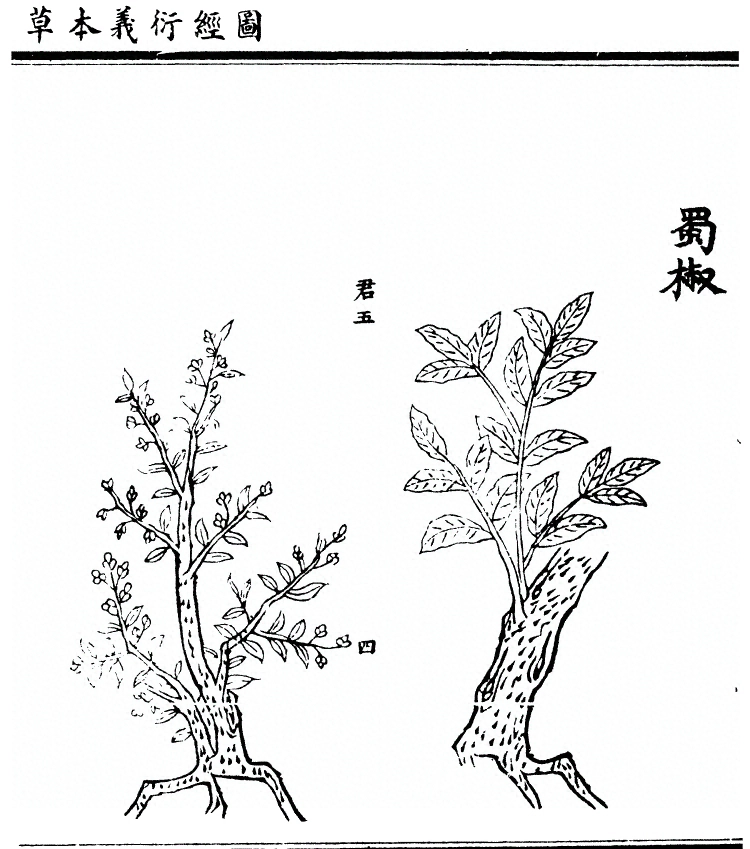 第 2081 页