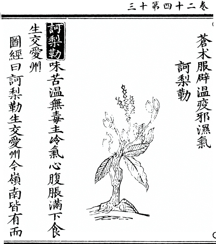 第 2098 页