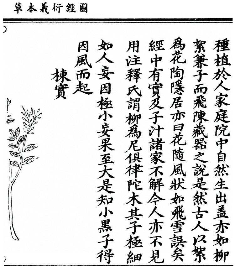 第 2107 页