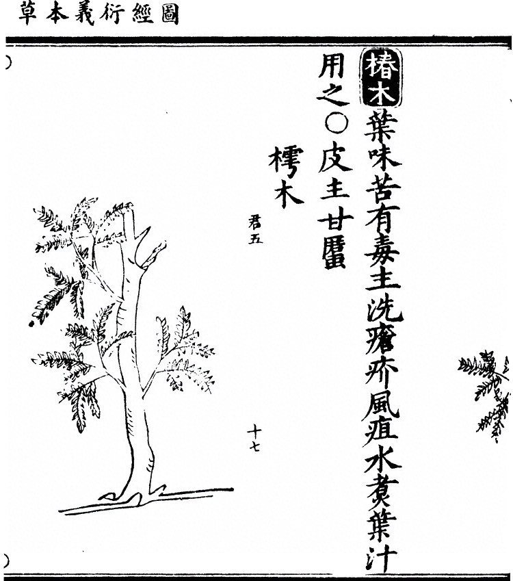 第 2113 页