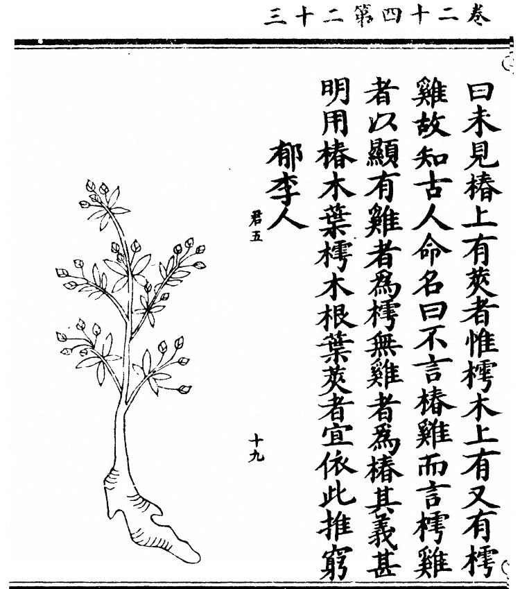 p. 2118