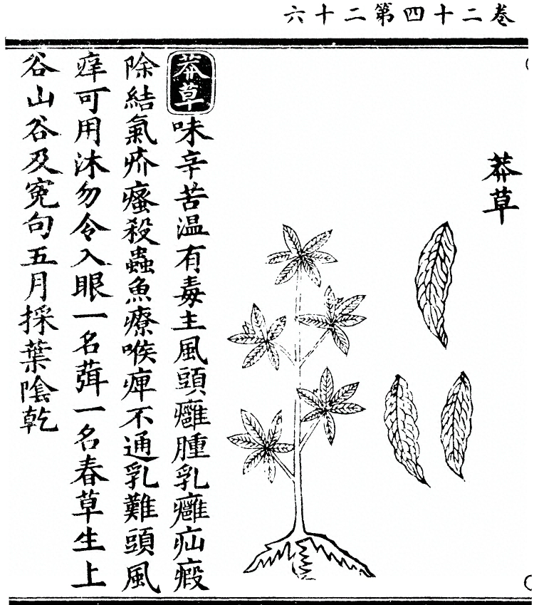 p. 2124