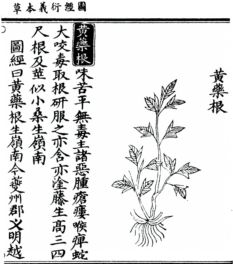 第 2129 页