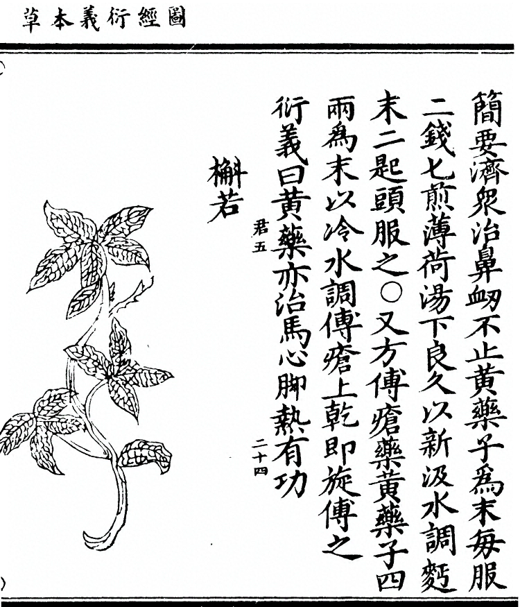 第 2131 页