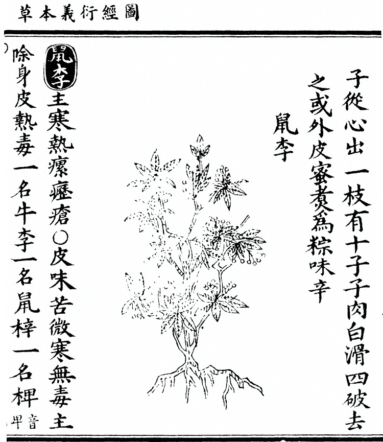 第 2161 页