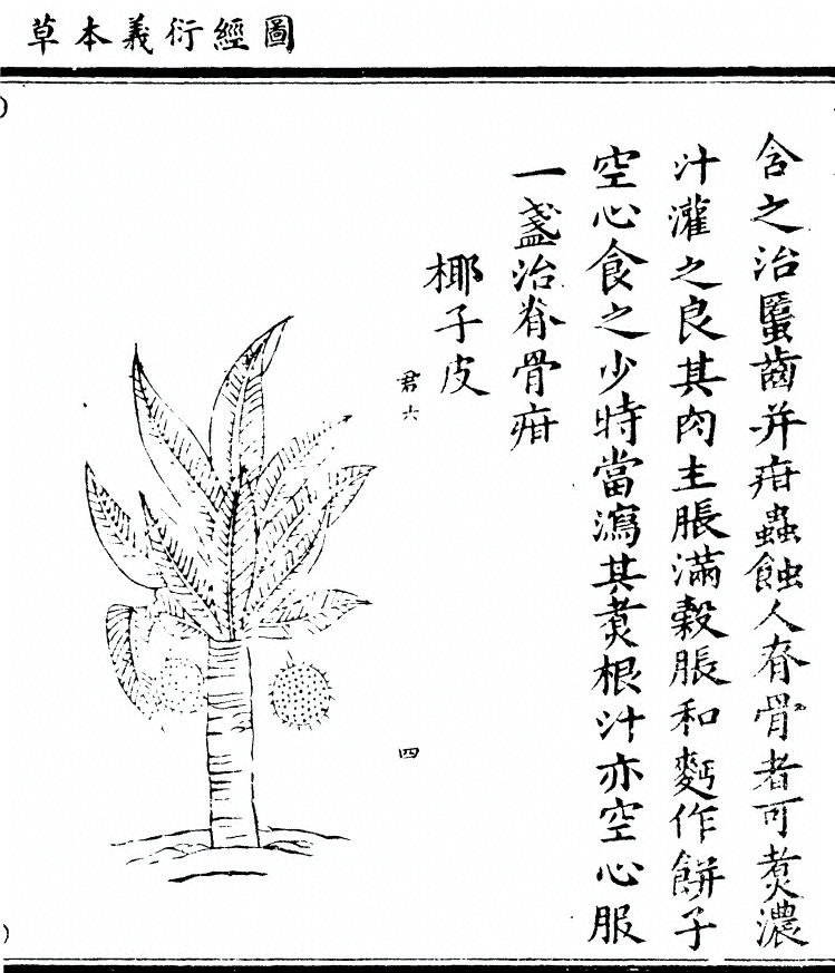 第 2163 页