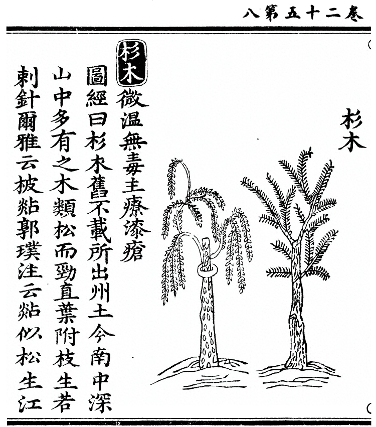 第 2170 页