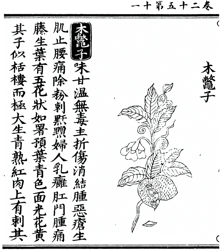 p. 2176