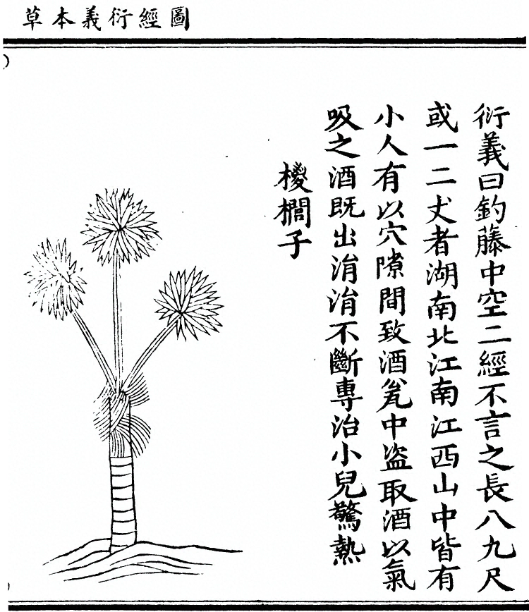 p. 2181