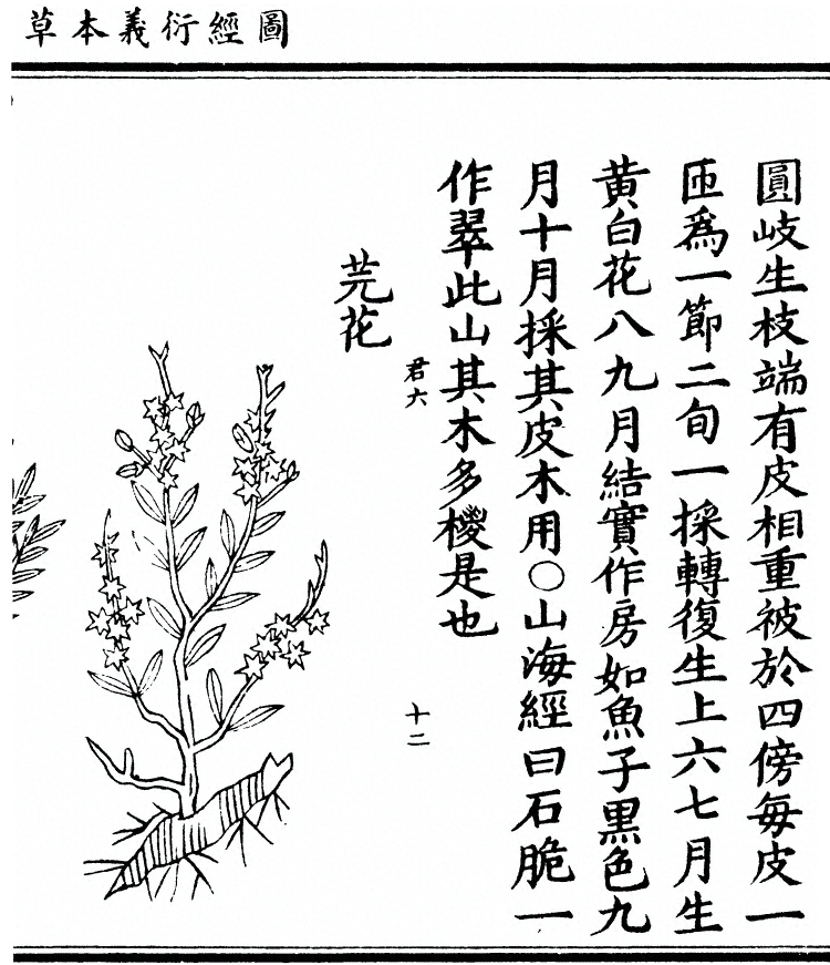 p. 2183