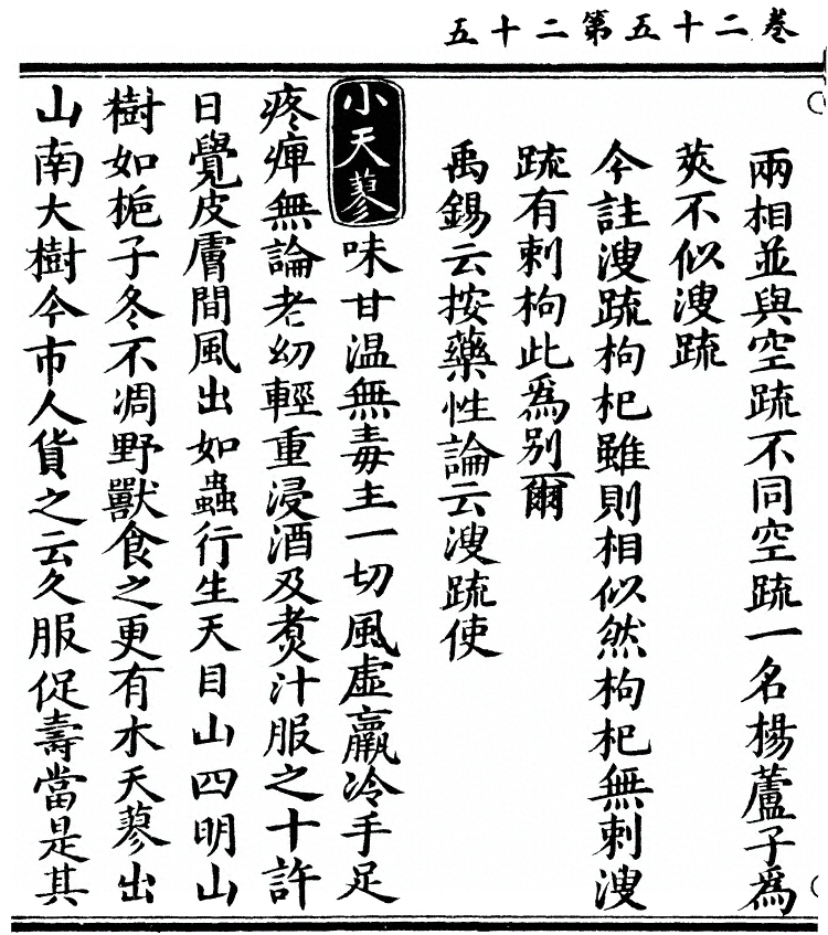 第 2204 页