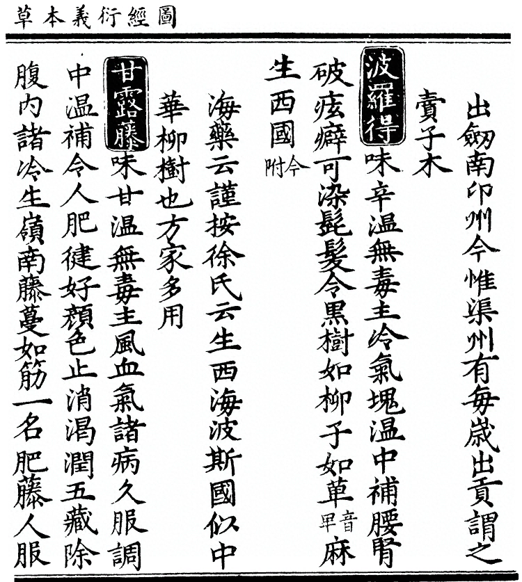 第 2217 页
