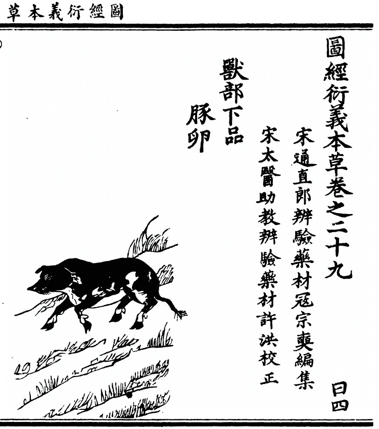 第 2384 页