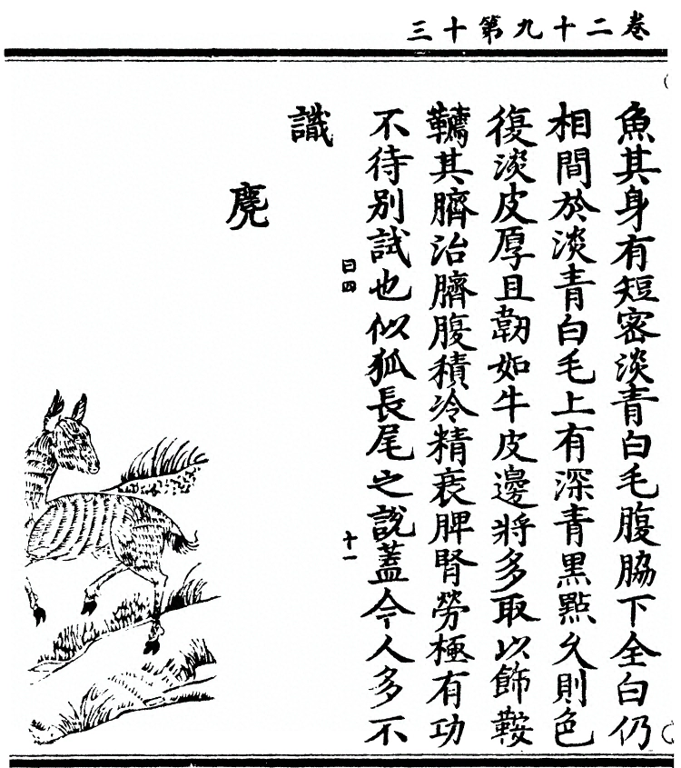 第 2409 页
